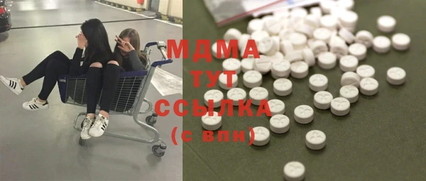 индика Аркадак