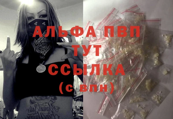 индика Аркадак