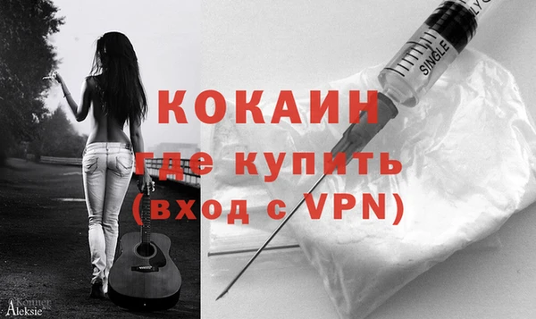 индика Аркадак