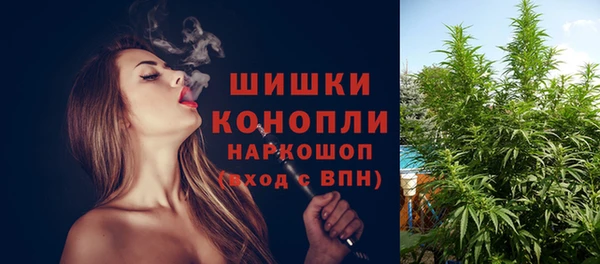 индика Аркадак