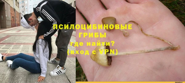индика Аркадак