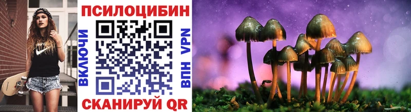 хочу наркоту  Калязин  Псилоцибиновые грибы мухоморы 